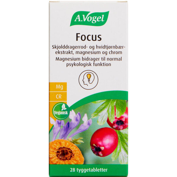 A. Vogel Focus